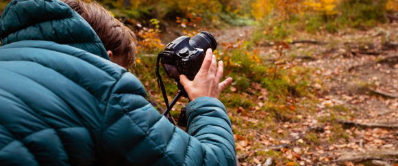 Photographier un arbre