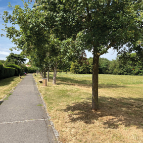 Espace boisé du Belvédère