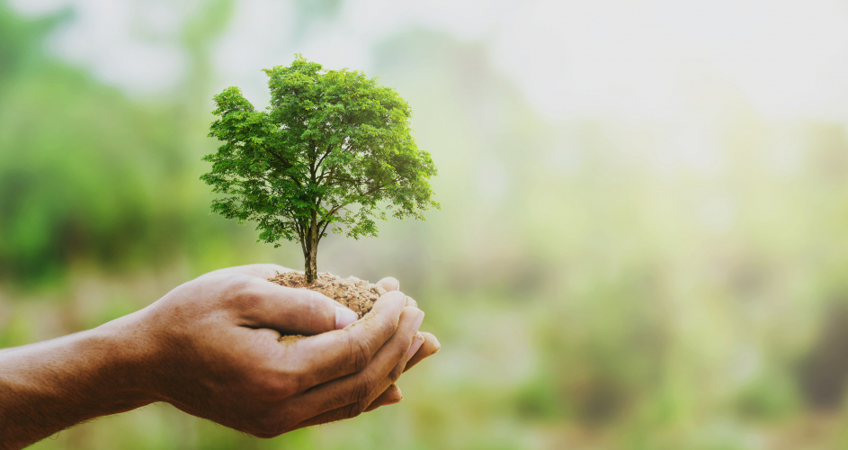 Budget participatif écologique et solidaire d'Ile-de-France