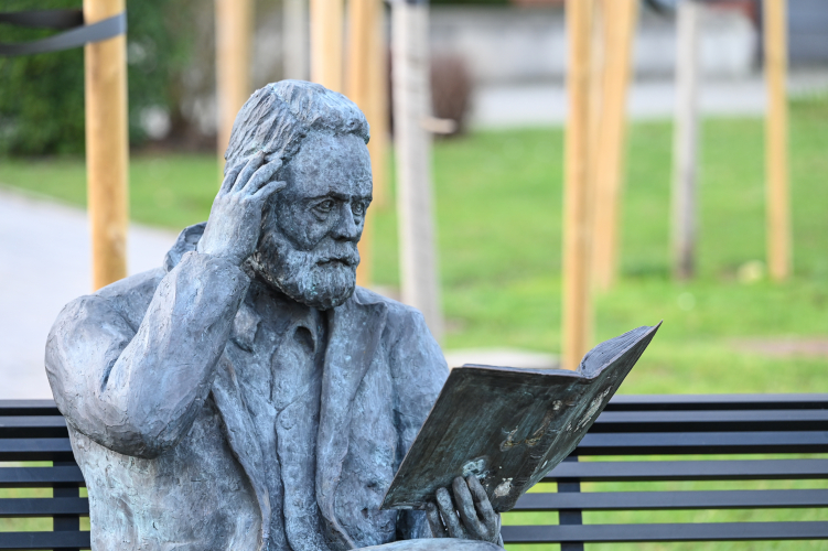 VICTOR HUGO LIVRE