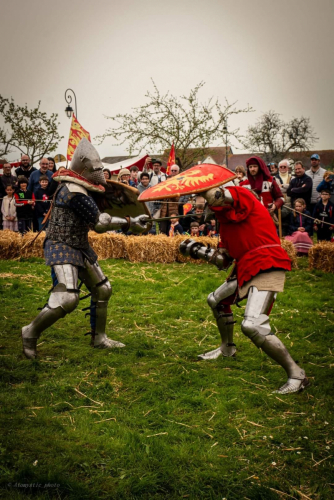 Combat de joutes
