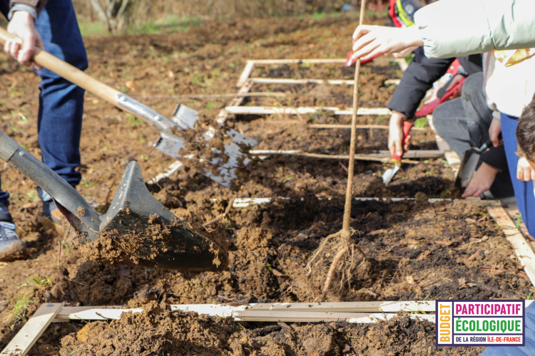Plantation Micro-forêt urbaine BPIDF