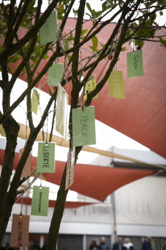 Arbre de la laïcité