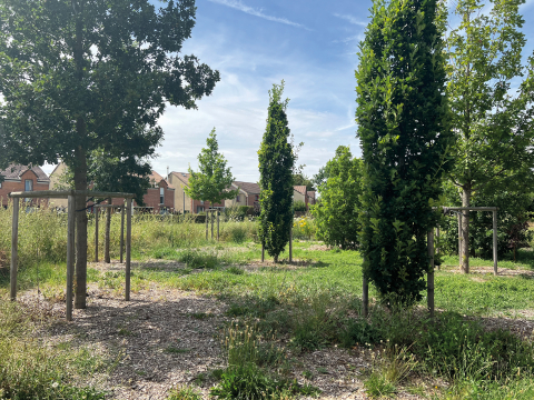 Square de l'Ecole Buissonnière