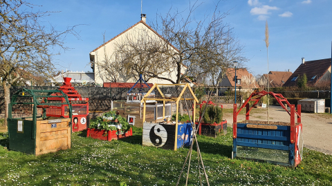 Récupérateur d'eau pour le jardin partagé 