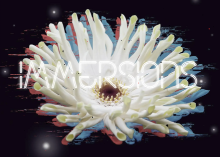 IMMERSIONS